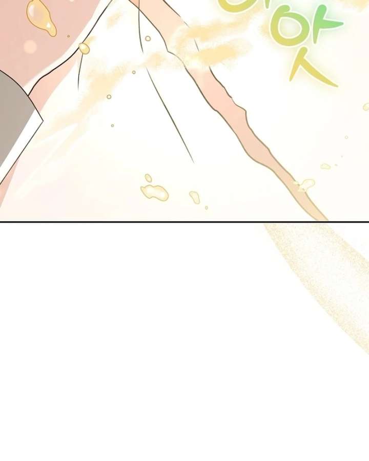 I Opened an Illegal Veterinary Clinic in Another World Chapter 27 page 65 - 