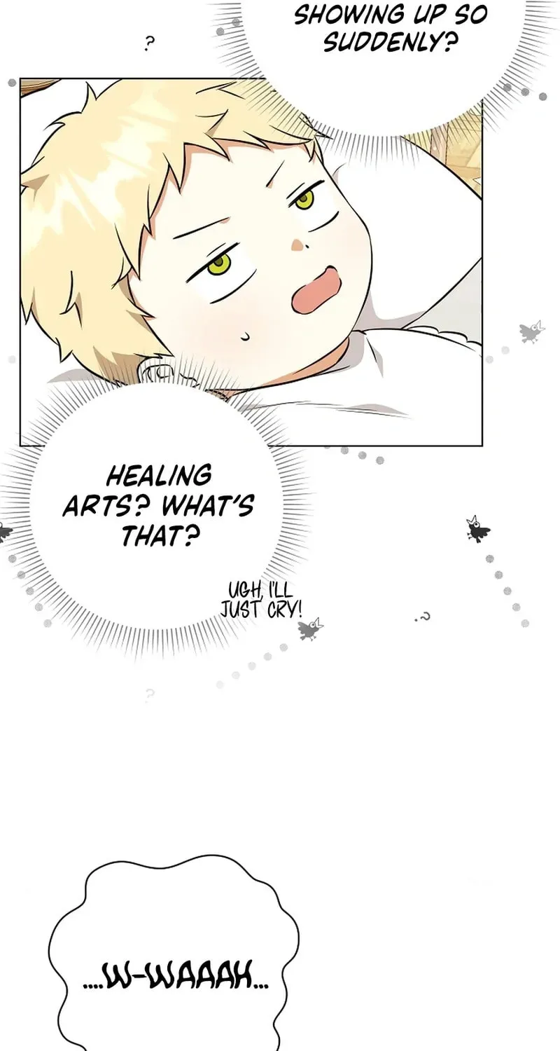 I Opened an Illegal Veterinary Clinic in Another World Chapter 3 page 11 - 