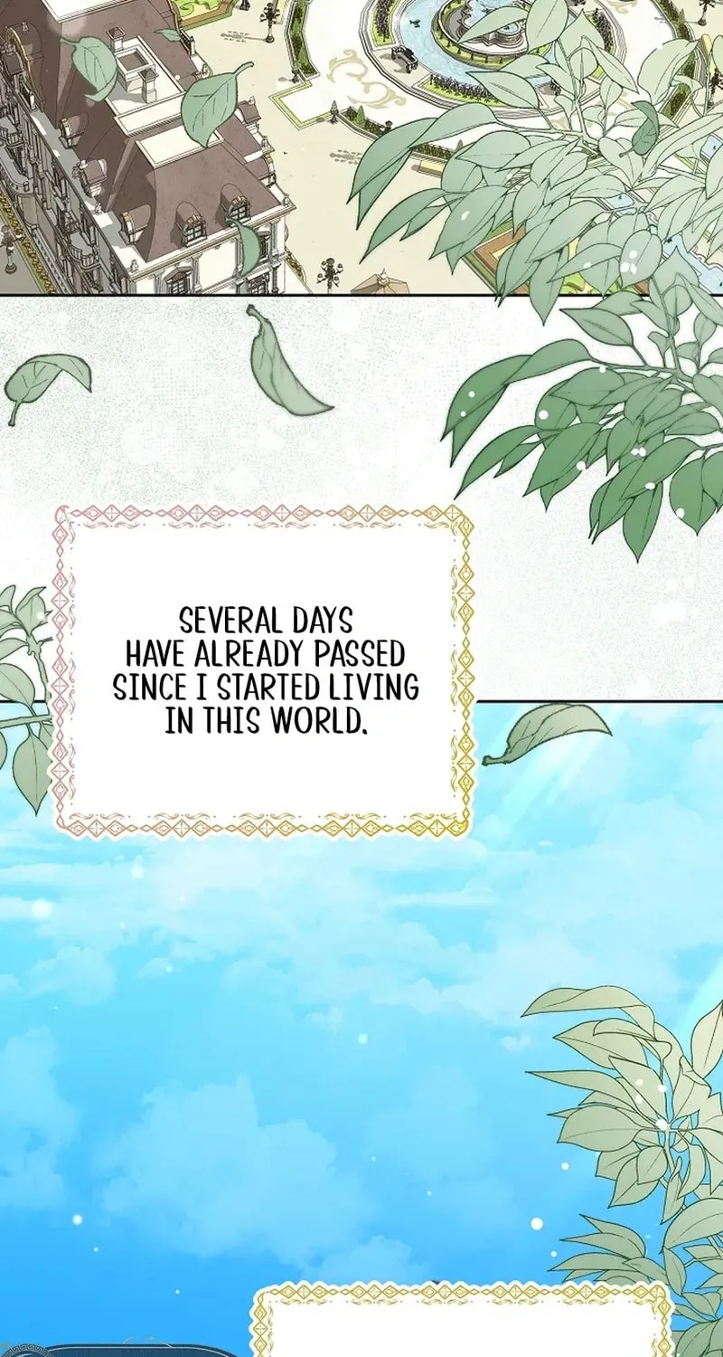 I Opened an Illegal Veterinary Clinic in Another World Chapter 3 page 38 - 