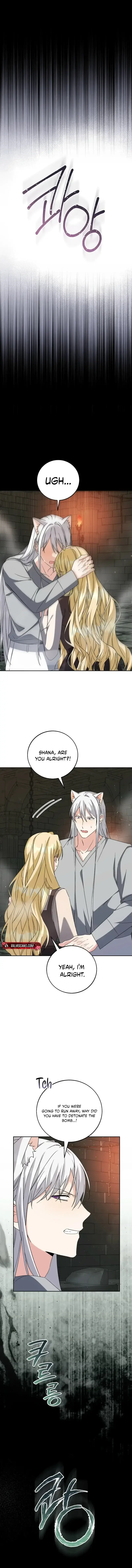 I Opened an Illegal Veterinary Clinic in Another World Chapter 41 page 1 - 
