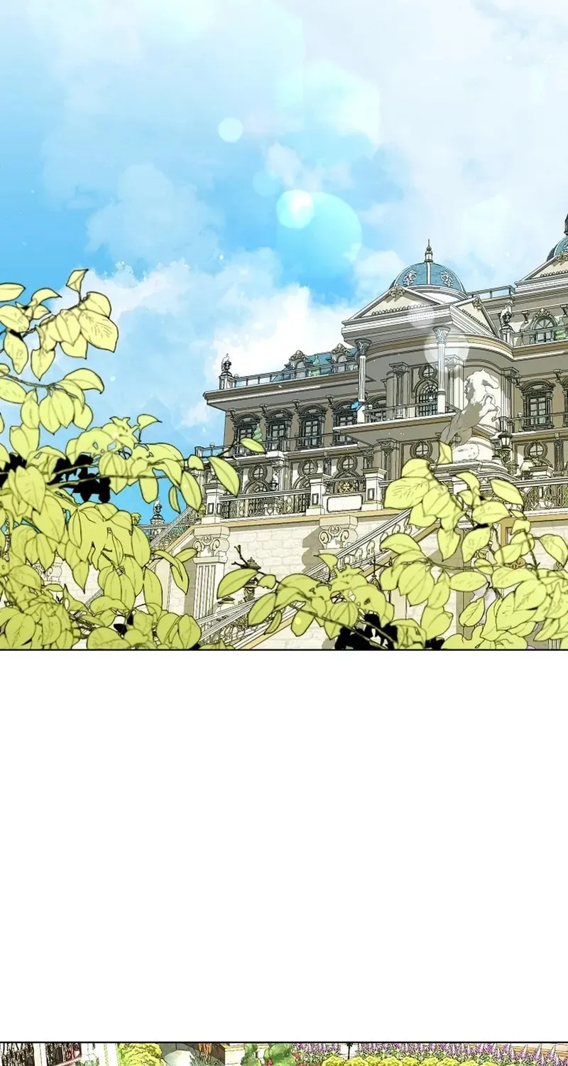I Opened an Illegal Veterinary Clinic in Another World Chapter 6 page 63 - 