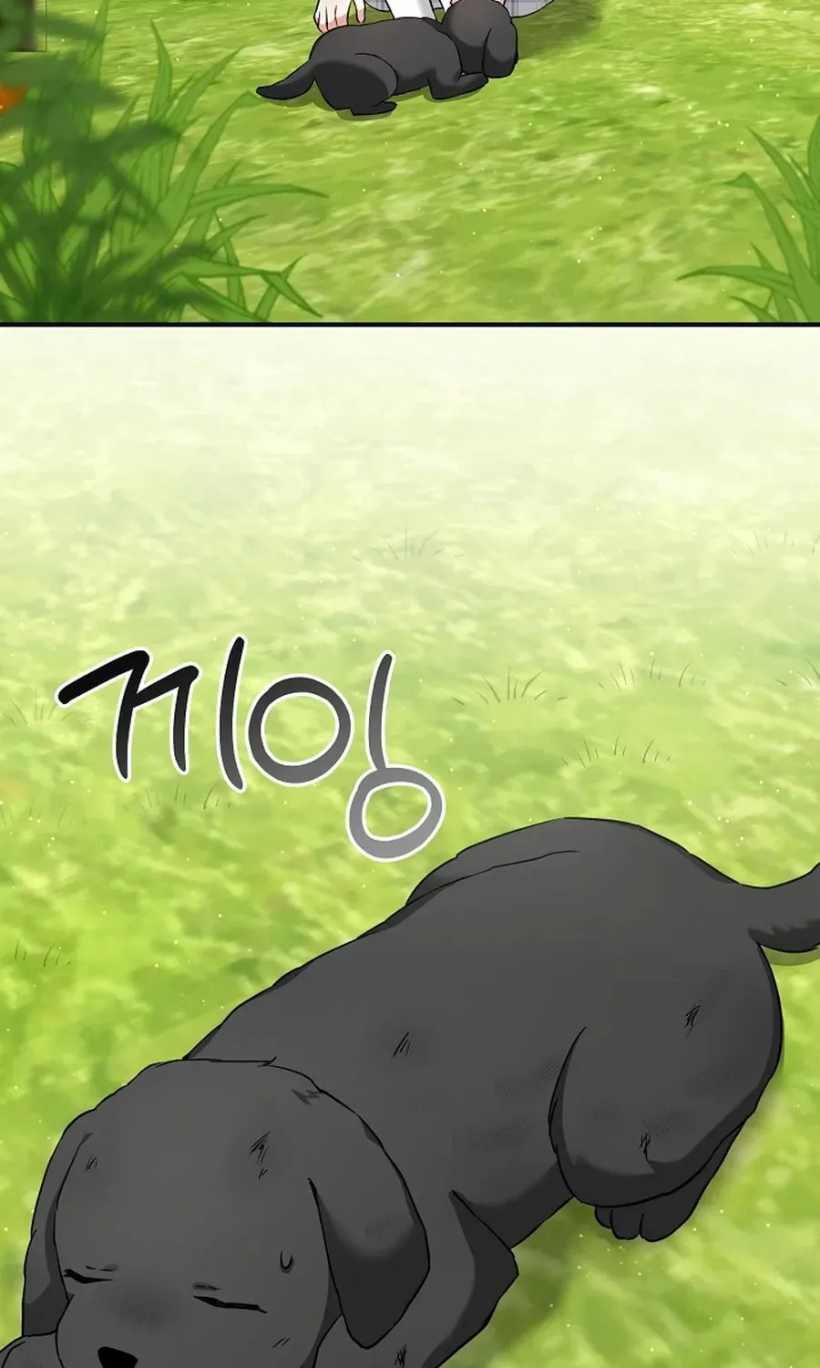 I Opened an Illegal Veterinary Clinic in Another World Chapter 7 page 46 - 
