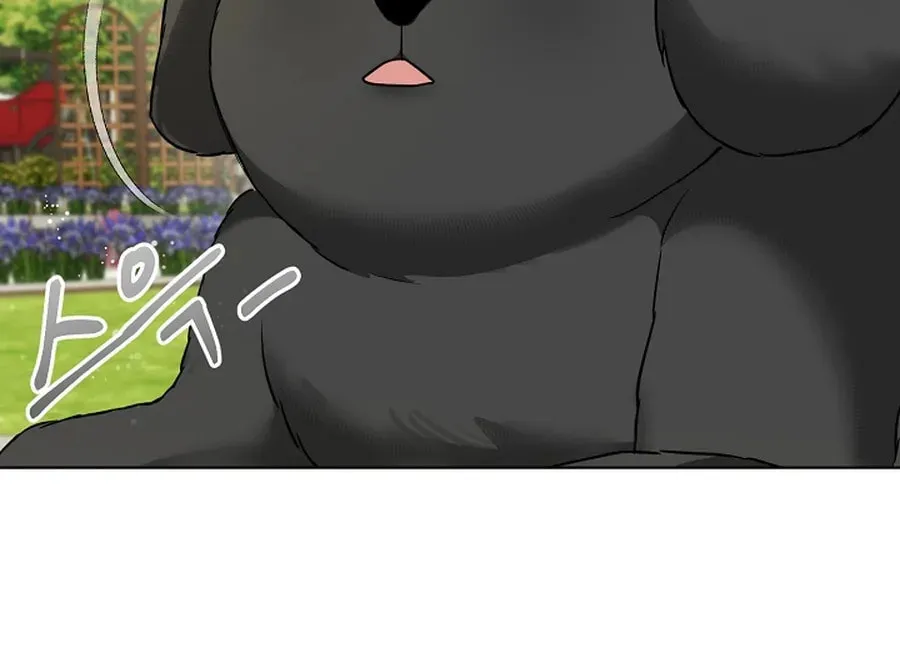I Opened an Illegal Veterinary Clinic in Another World Chapter 7 page 54 - 