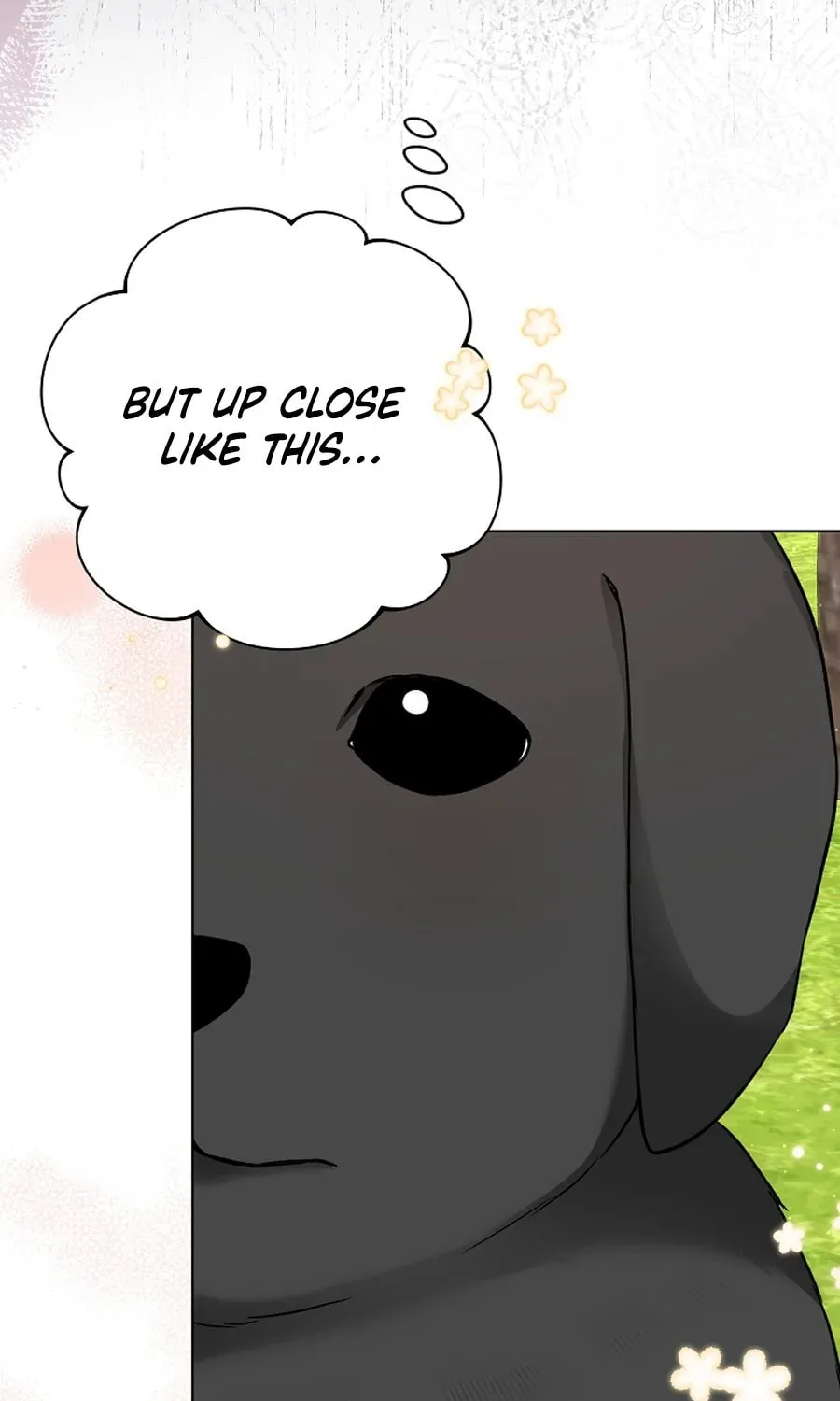 I Opened an Illegal Veterinary Clinic in Another World Chapter 7 page 67 - 