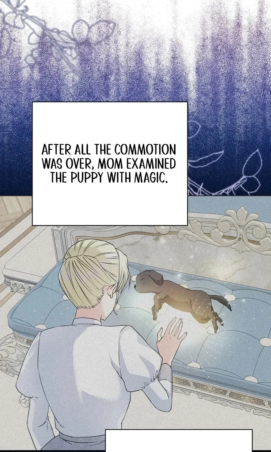 I Opened an Illegal Veterinary Clinic in Another World Chapter 8 page 83 - 