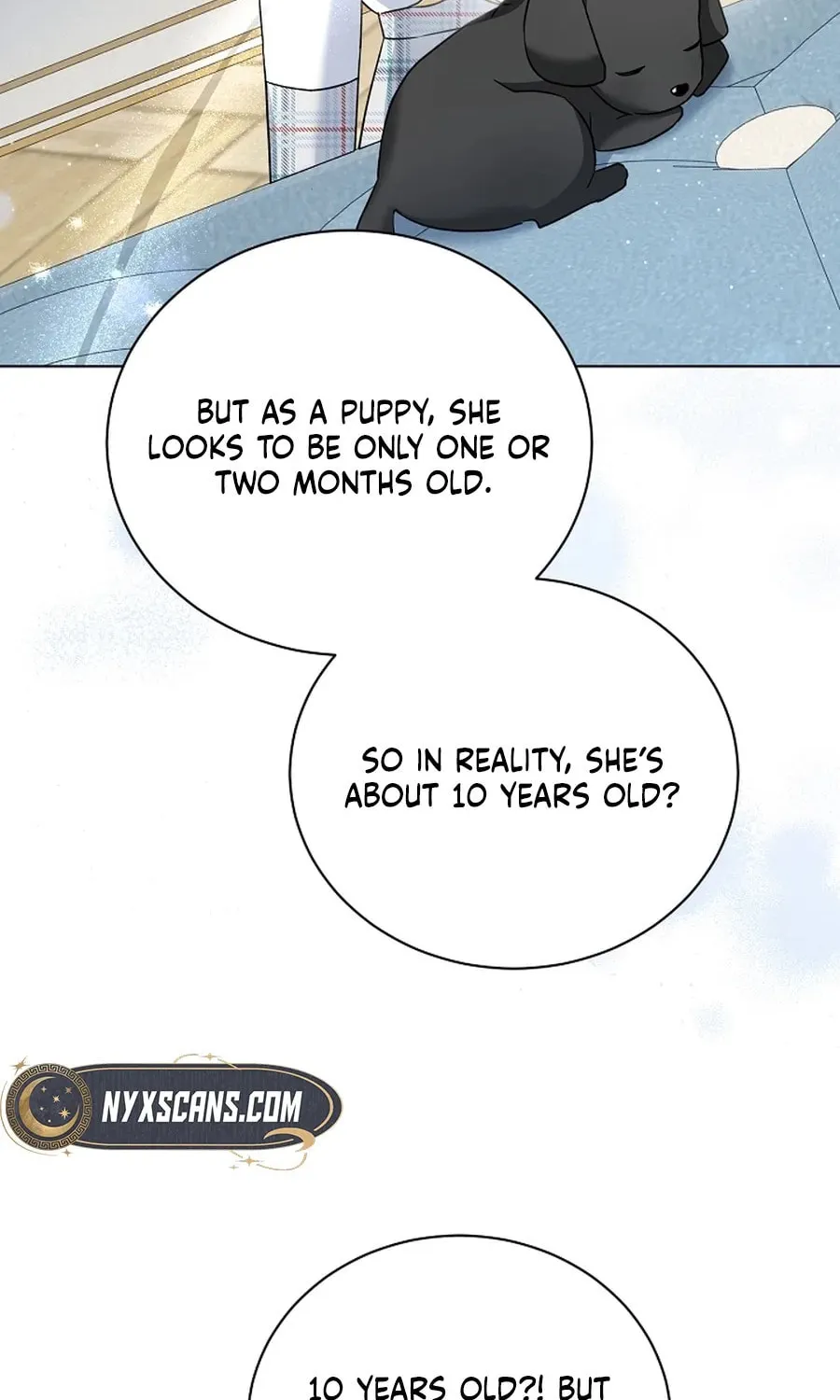 I Opened an Illegal Veterinary Clinic in Another World Chapter 9 page 11 - 