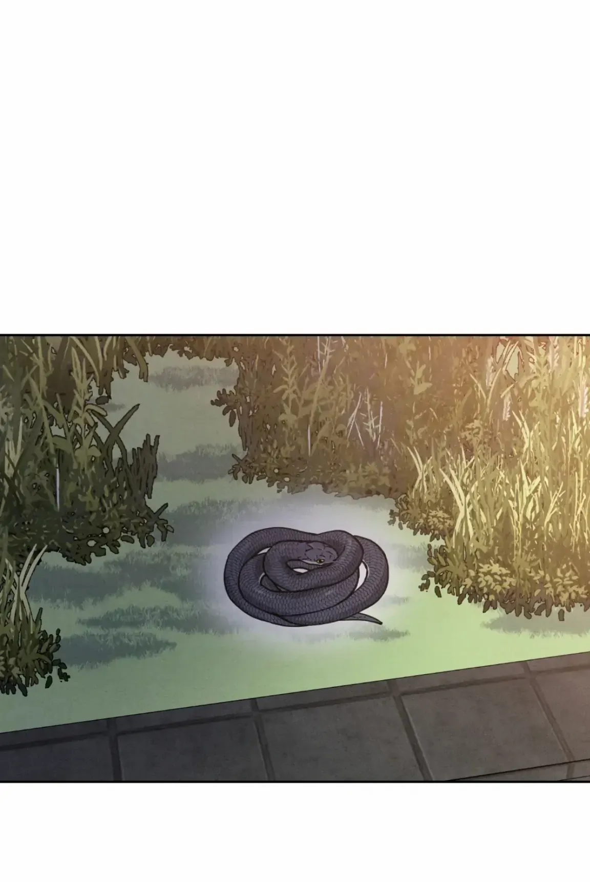 I Picked Up a Snake on My Way Home From Work Chapter 1 page 13 - 