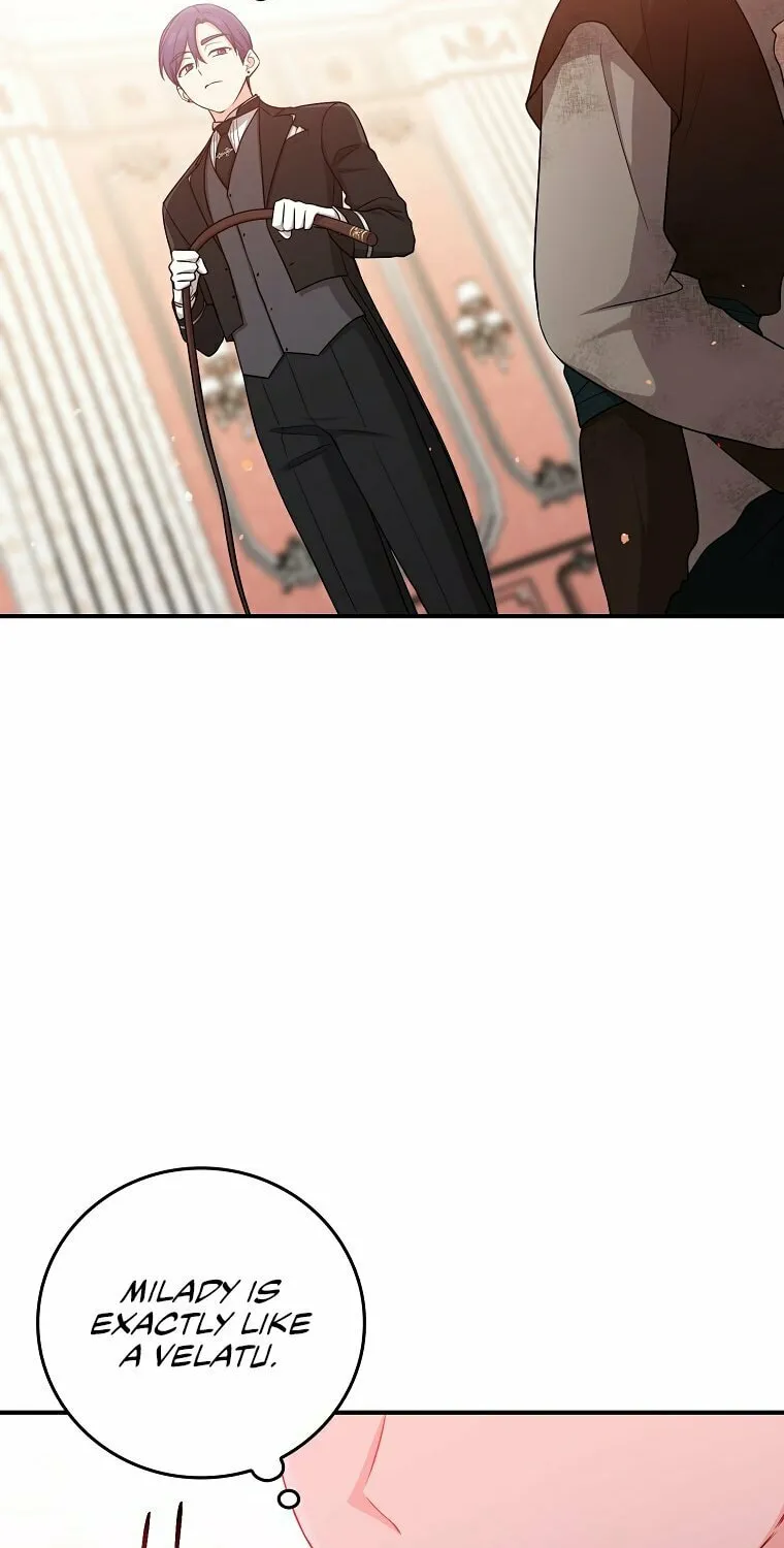 I Played the Role of the Adopted Daughter Too Well Chapter 11 page 45 - 