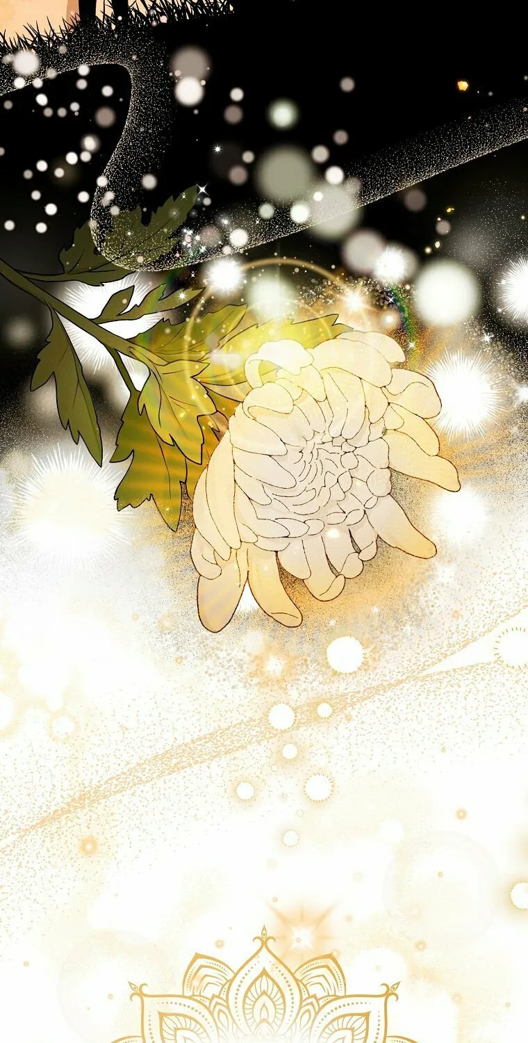 I Played the Role of the Adopted Daughter Too Well Chapter 12 page 9 - 