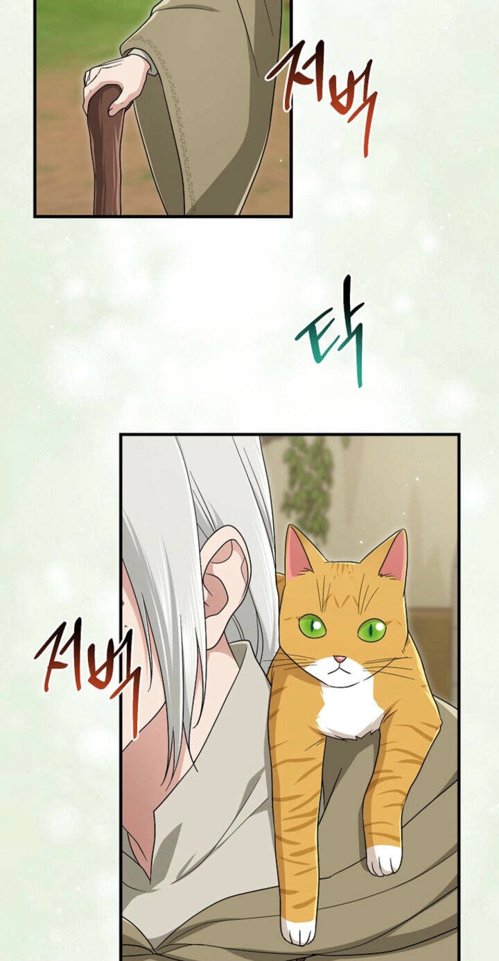 I Played the Role of the Adopted Daughter Too Well Chapter 126 page 89 - 
