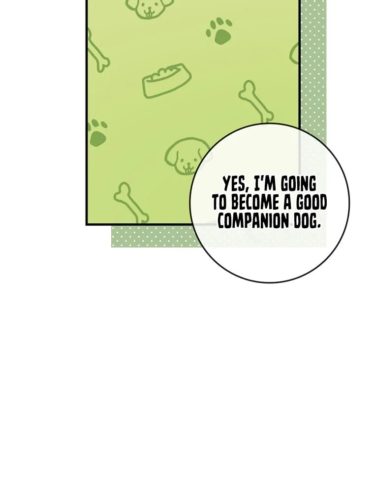 I Played the Role of the Adopted Daughter Too Well Chapter 16 page 71 - 