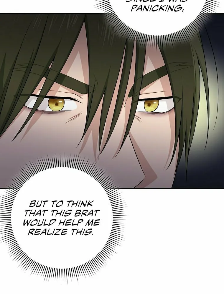 I Played the Role of the Adopted Daughter Too Well Chapter 17 page 68 - 