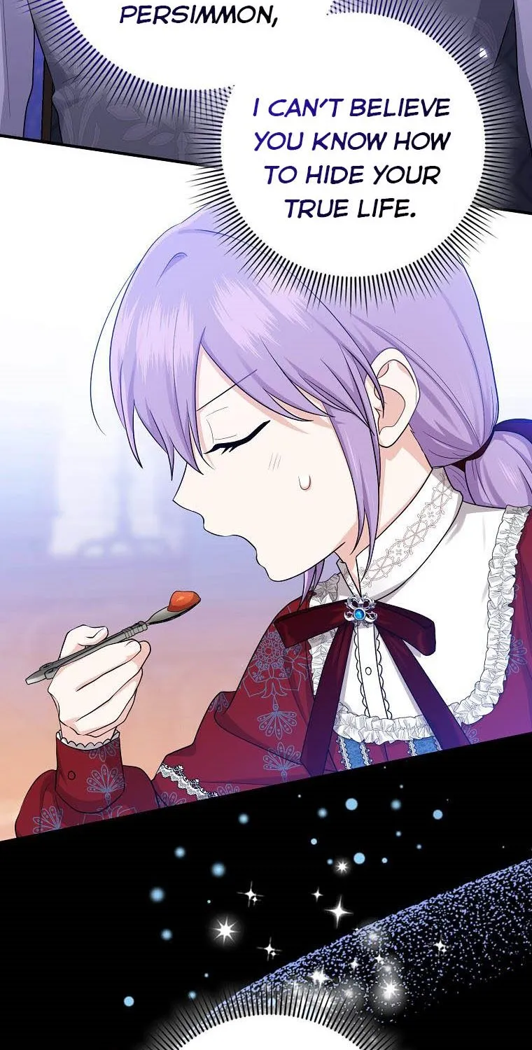 I Played the Role of the Adopted Daughter Too Well Chapter 19.5 page 26 - 