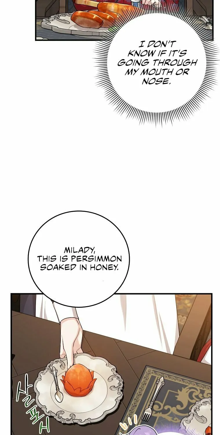 I Played the Role of the Adopted Daughter Too Well Chapter 19 page 25 - 
