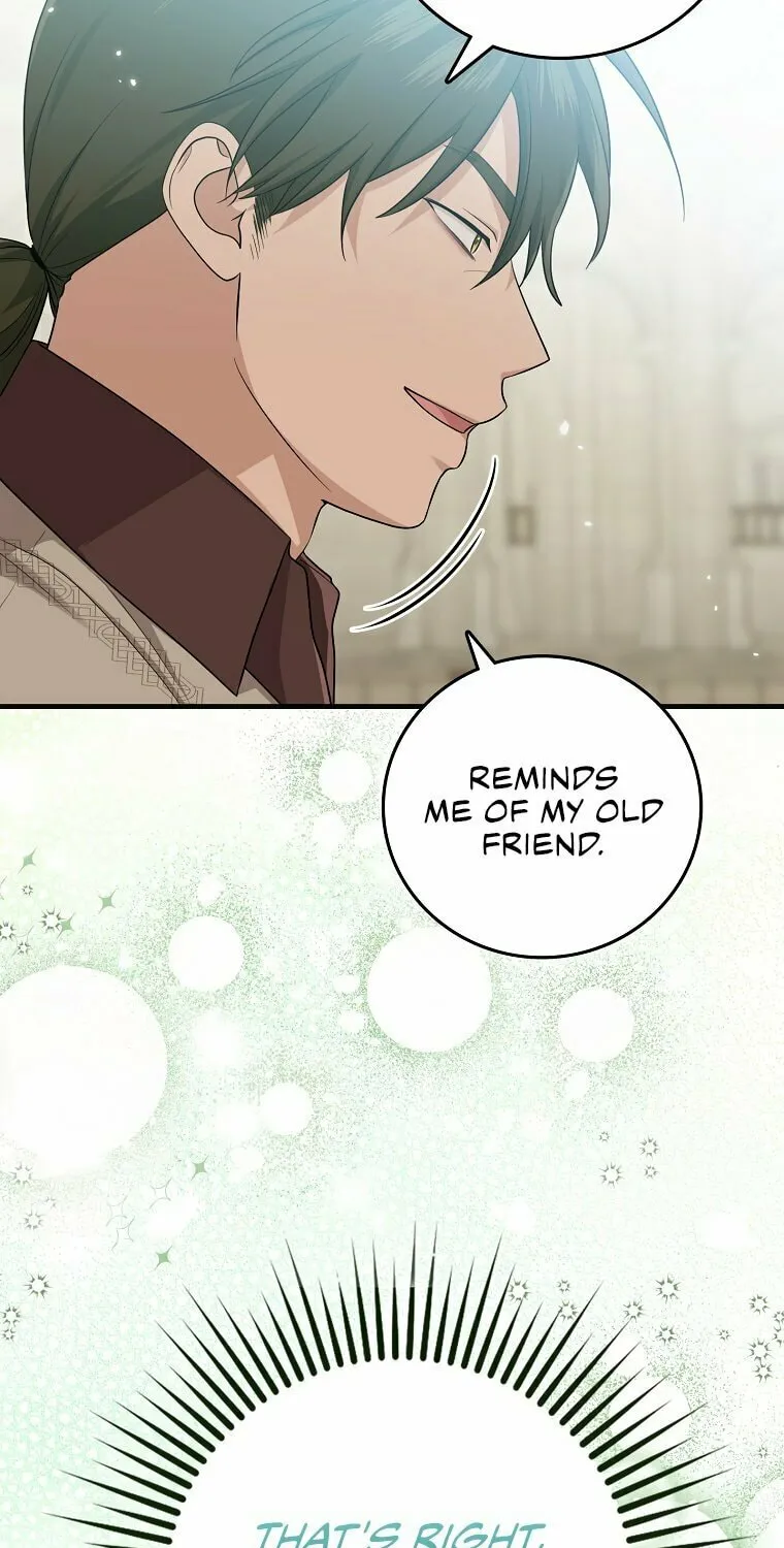 I Played the Role of the Adopted Daughter Too Well Chapter 20 page 44 - 