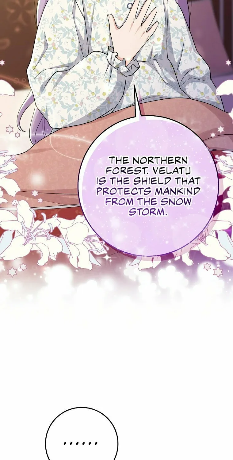I Played the Role of the Adopted Daughter Too Well Chapter 25 page 18 - 
