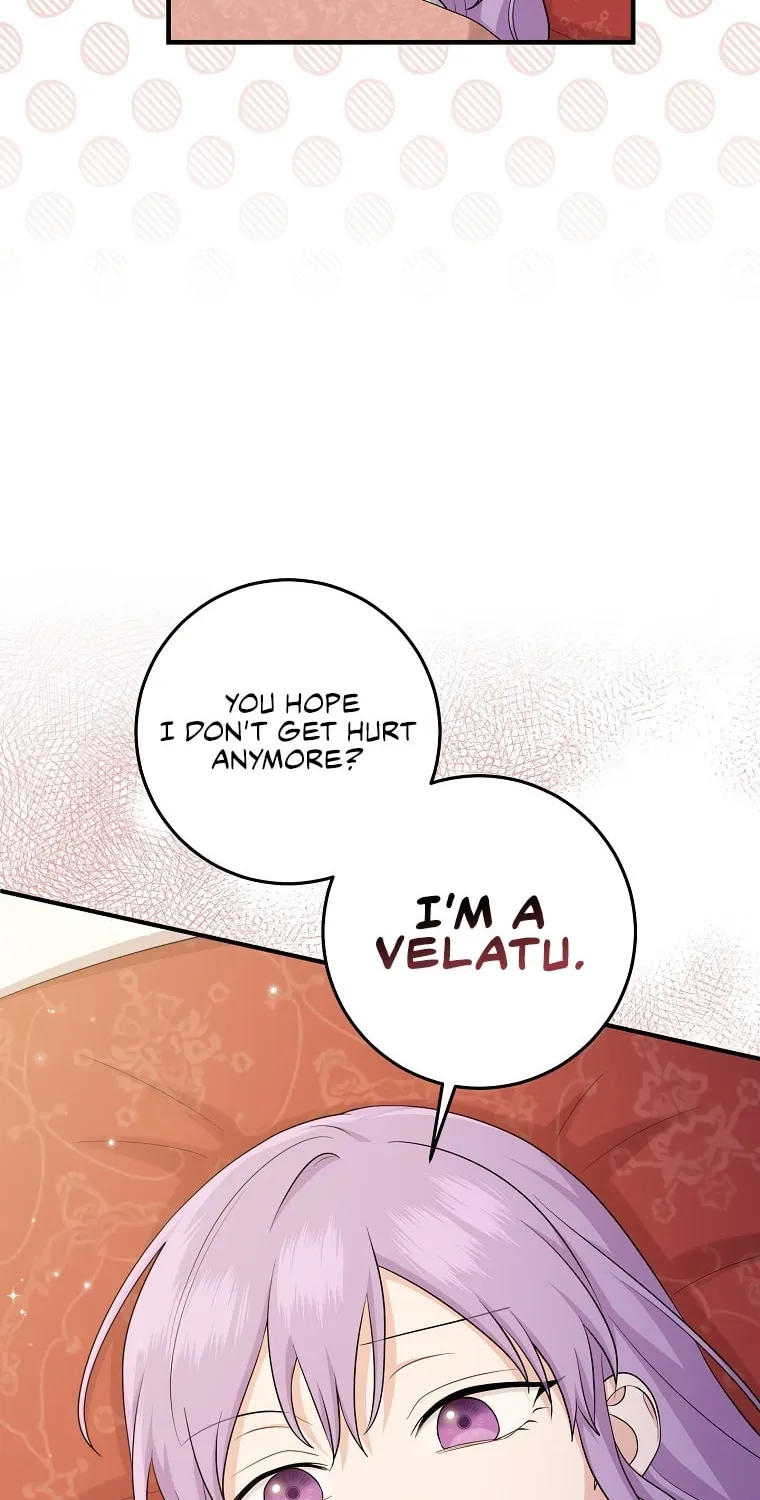 I Played the Role of the Adopted Daughter Too Well Chapter 25 page 5 - 