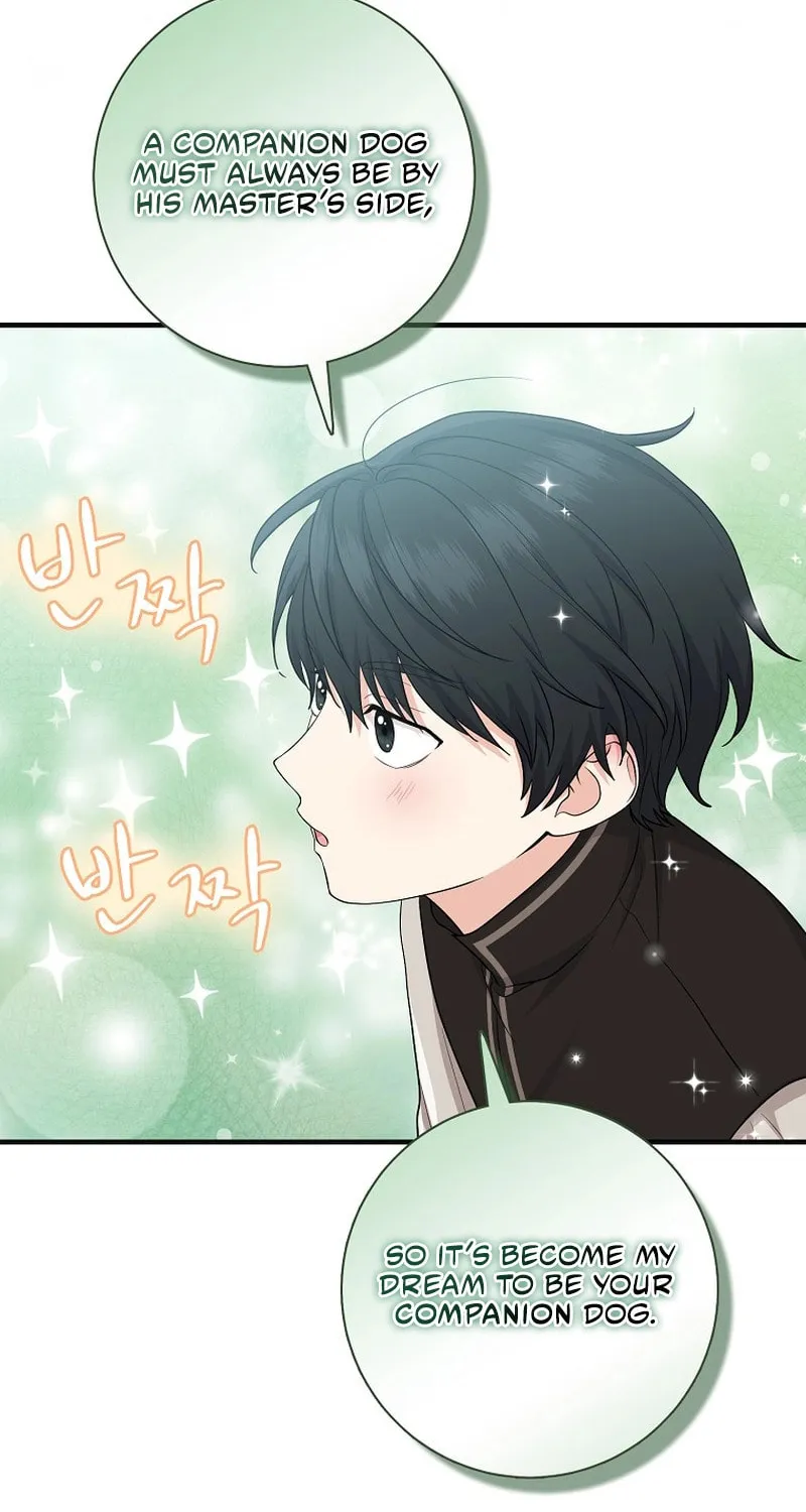 I Played the Role of the Adopted Daughter Too Well Chapter 26 page 61 - 