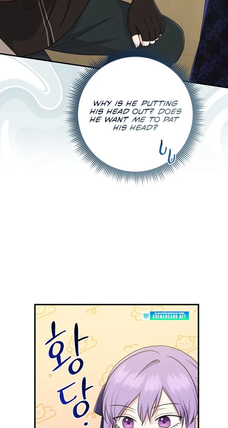 I Played the Role of the Adopted Daughter Too Well Chapter 26 page 63 - 