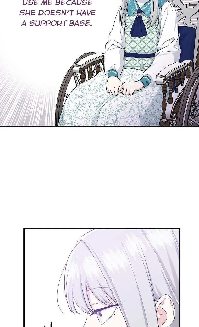 I Played the Role of the Adopted Daughter Too Well Chapter 28.5 page 17 - 