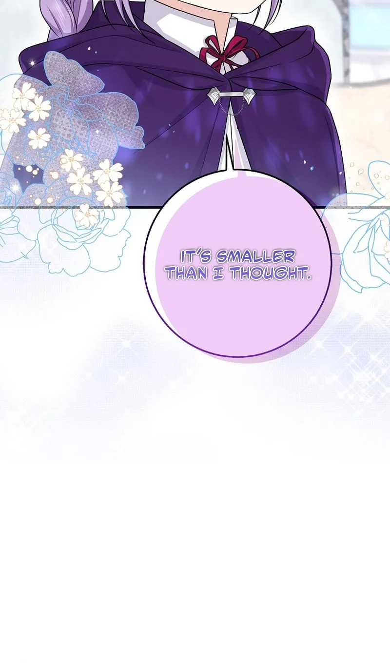 I Played the Role of the Adopted Daughter Too Well Chapter 30 page 44 - 