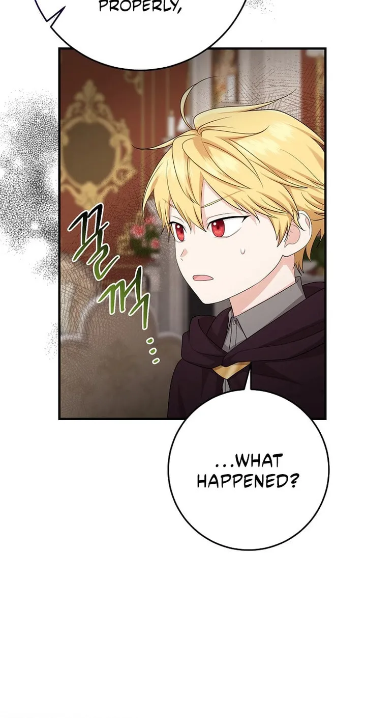 I Played the Role of the Adopted Daughter Too Well Chapter 31 page 26 - 