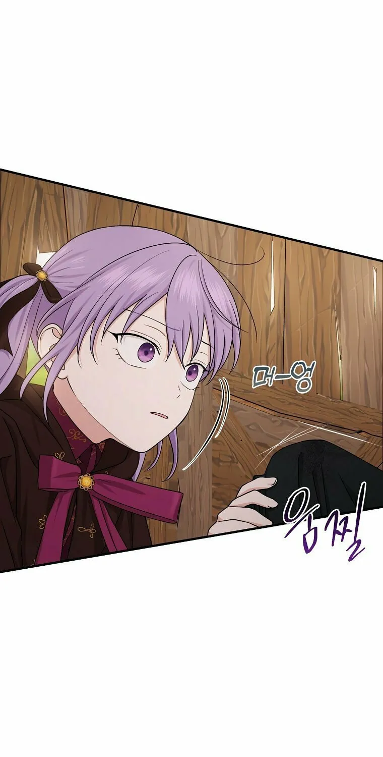 I Played the Role of the Adopted Daughter Too Well Chapter 9 page 29 - 