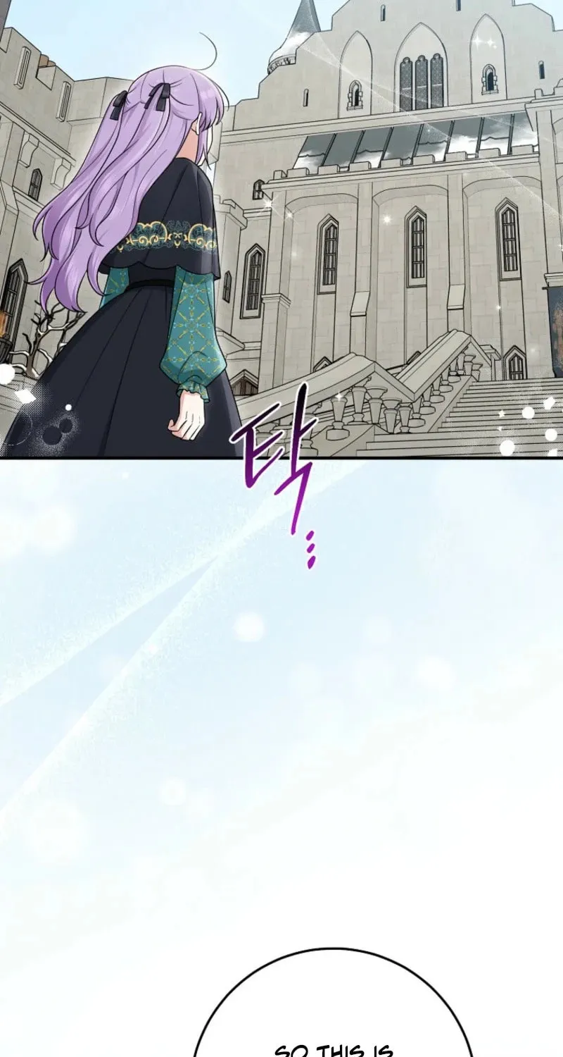 I Played the Role of the Adopted Daughter Too Well Chapter 92 page 19 - 
