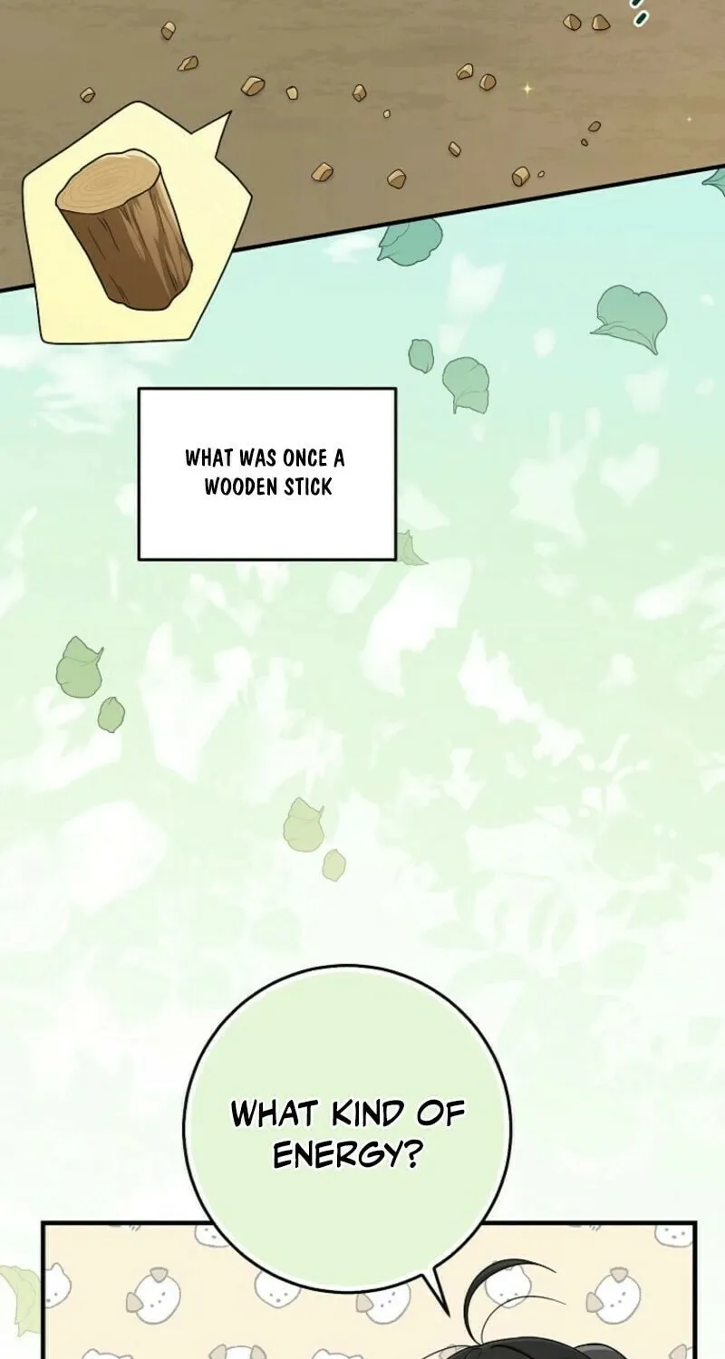 I Played the Role of the Adopted Daughter Too Well Chapter 94 page 65 - 
