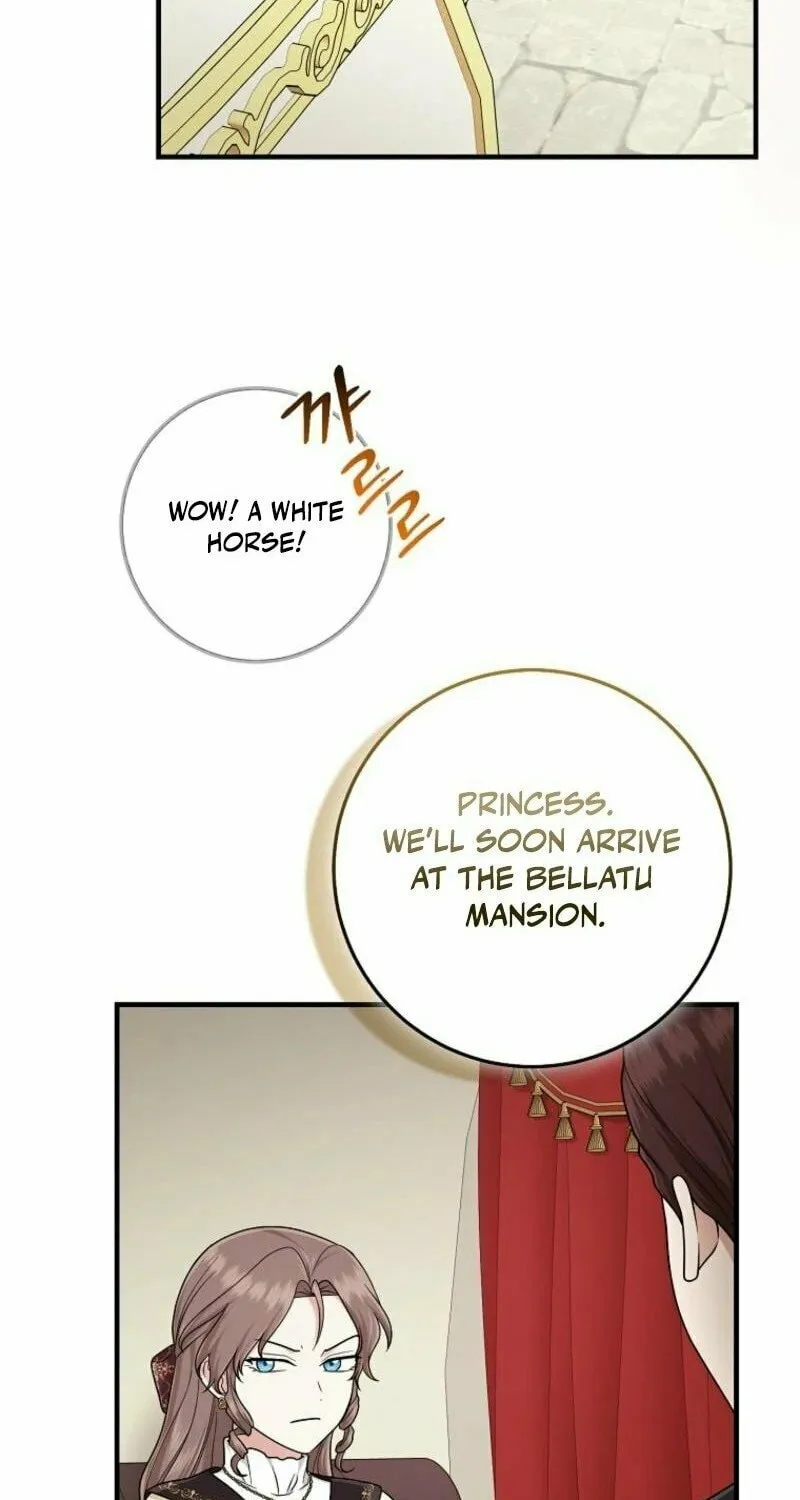 I Played the Role of the Adopted Daughter Too Well Chapter 97 page 35 - 