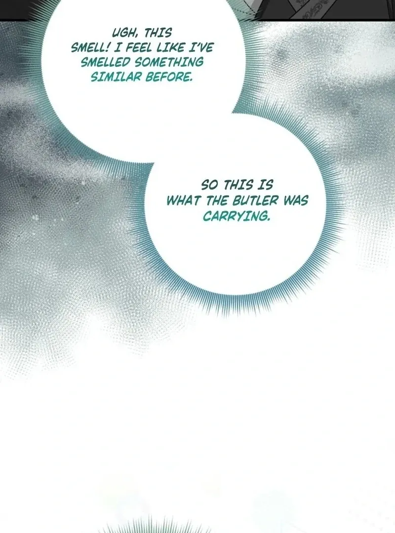 I Played the Role of the Adopted Daughter Too Well Chapter 98 page 93 - 