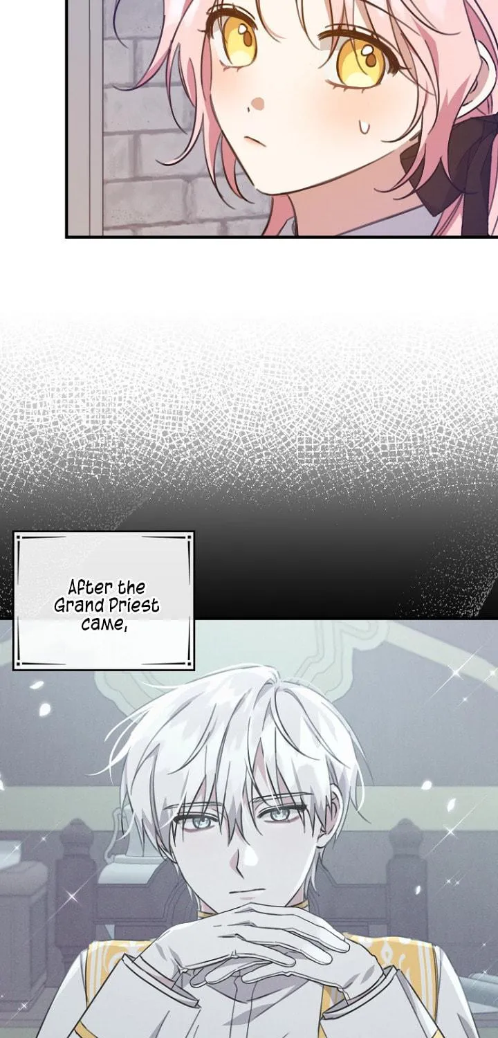 I Raised the Villains Preciously Chapter 19 page 5 - 
