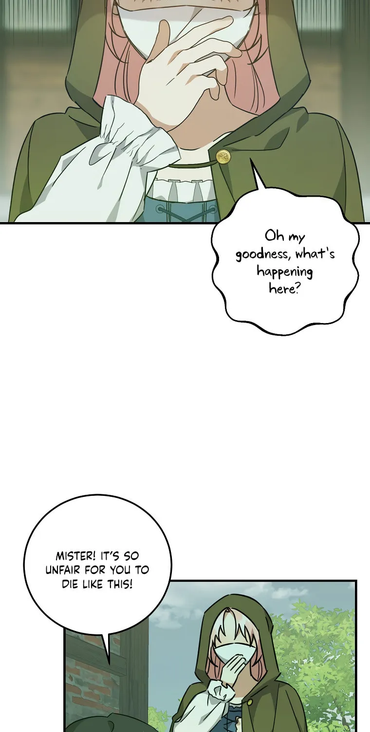 I Raised the Villains Preciously Chapter 26 page 13 - 