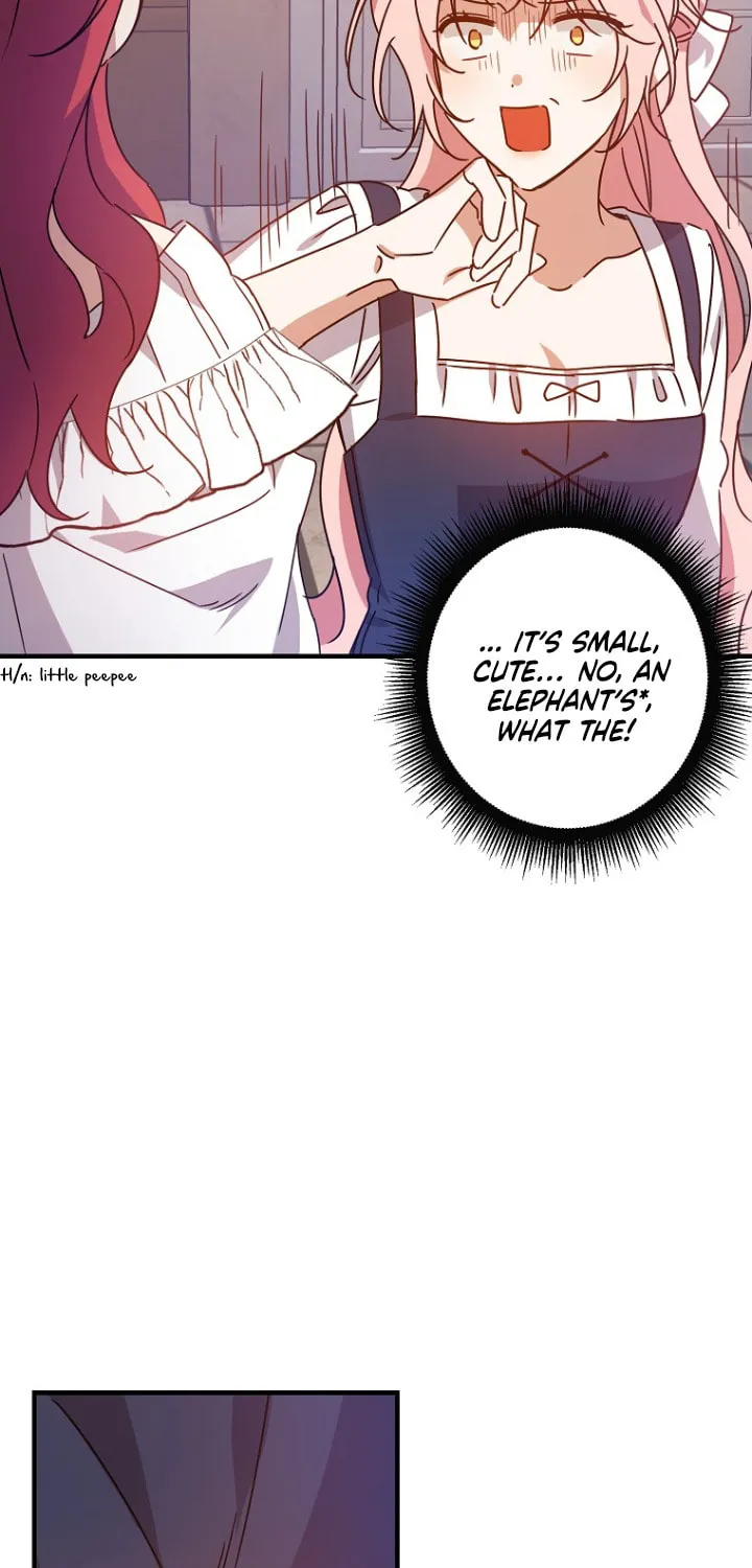 I Raised the Villains Preciously Chapter 5 page 13 - 