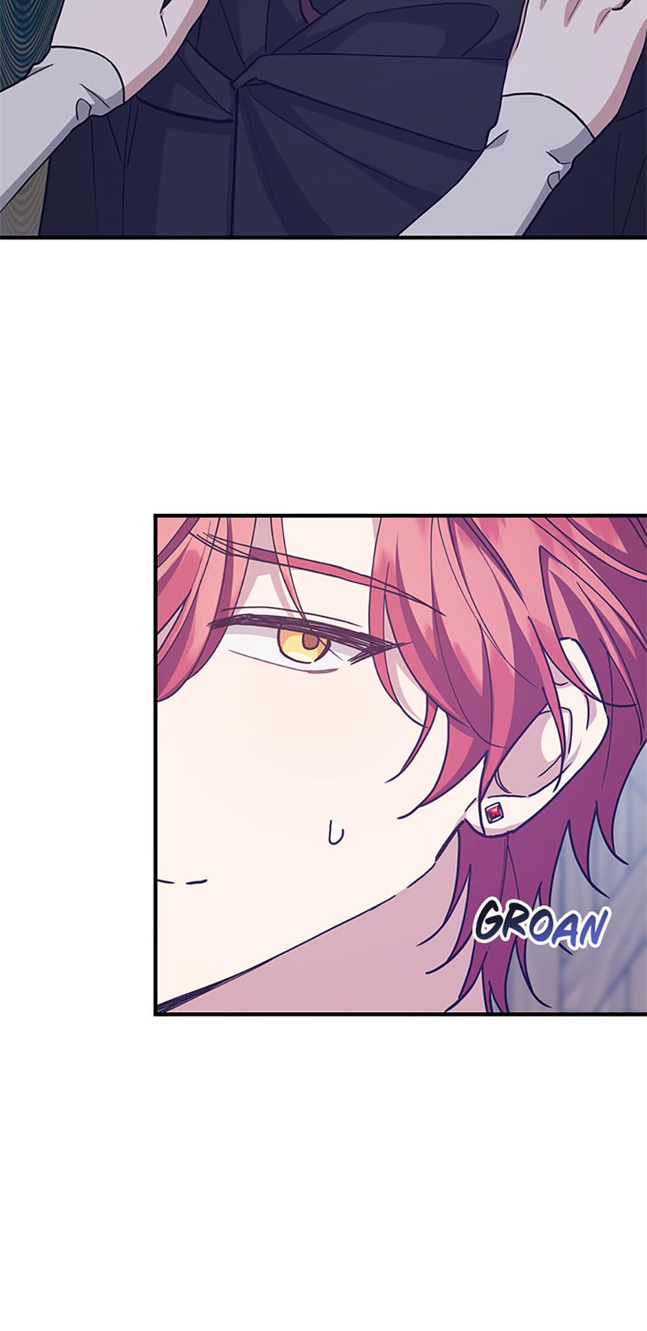 I Raised the Villains Preciously Chapter 52 page 14 - 