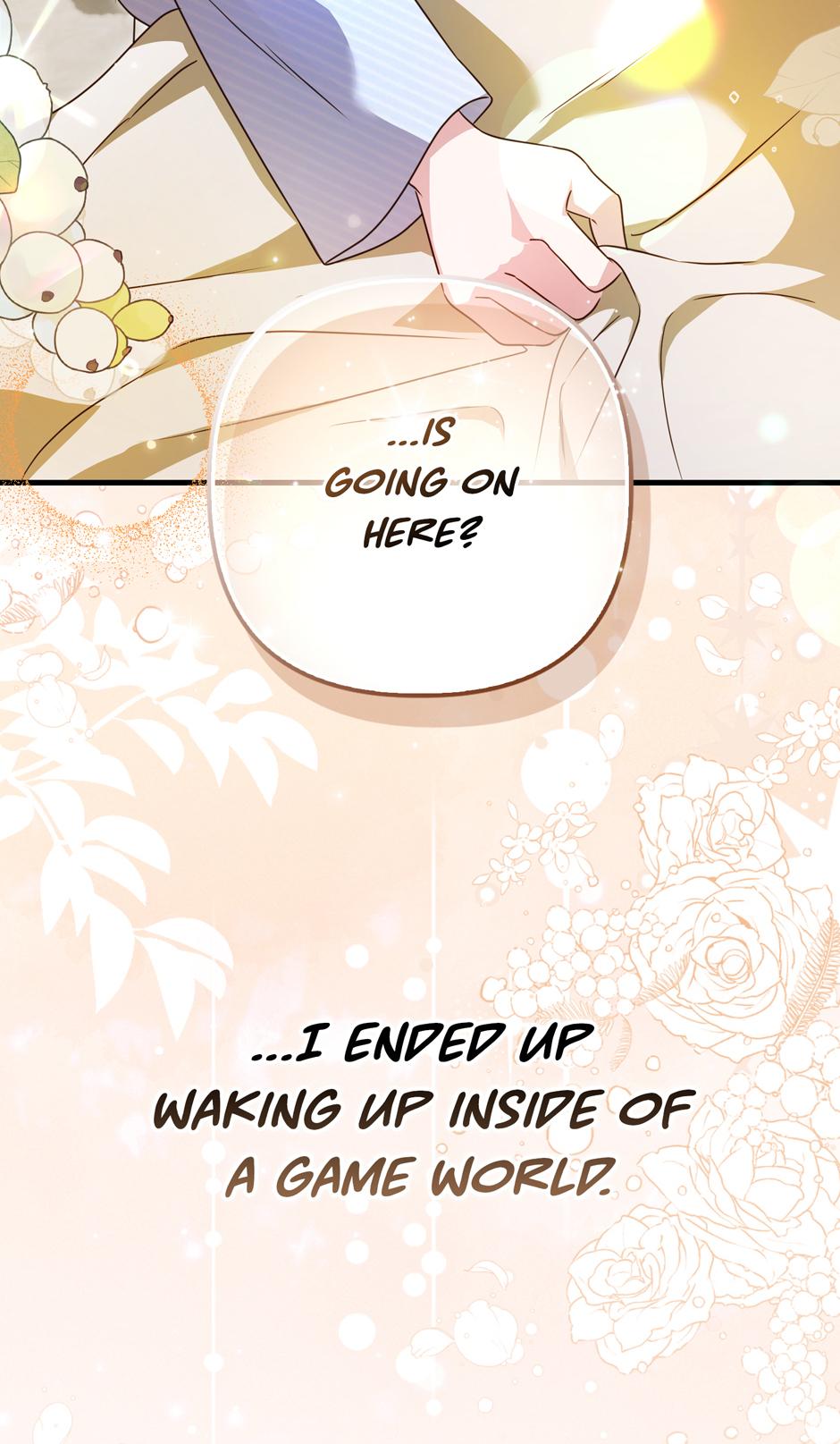 I Refuse to Be the Guide for the Mysophobic Mastermind Chapter 2 page 17 - 
