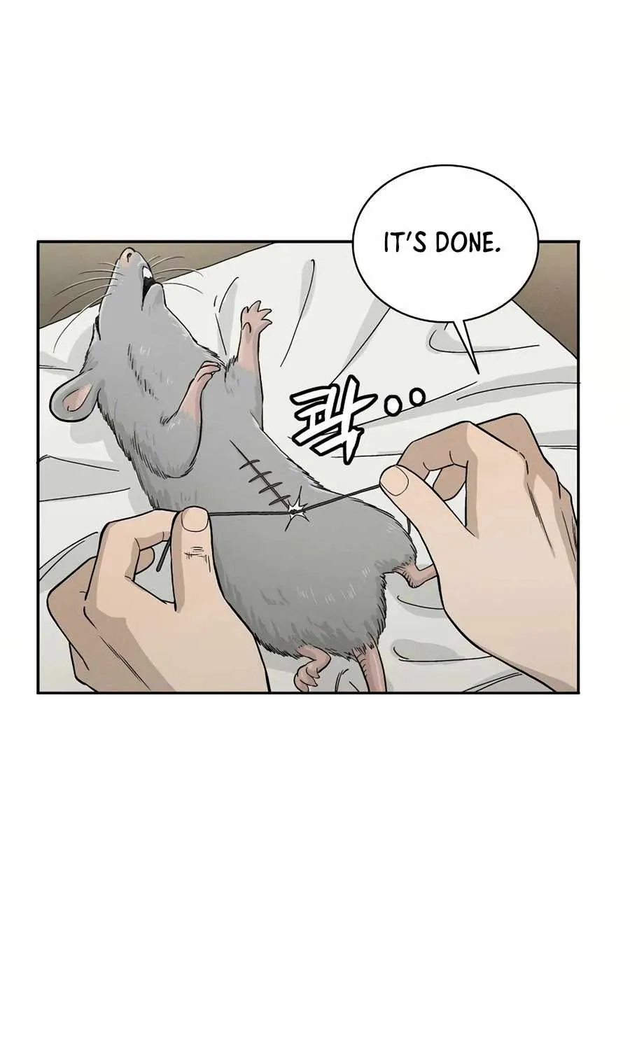I Reincarnated as a Legendary Surgeon Chapter 12 page 56 - 