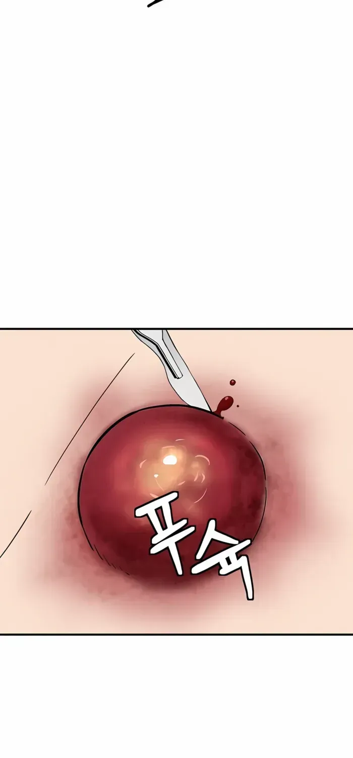 I Reincarnated as a Legendary Surgeon Chapter 149 page 67 - 