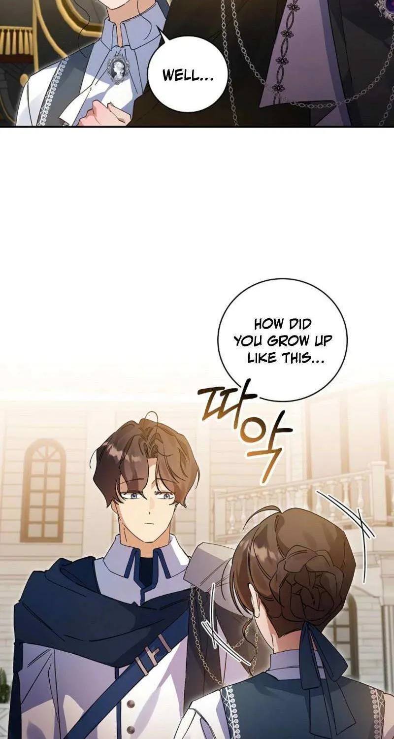 I Reincarnated as a Parenting Story Extra Chapter 33 page 27 - 