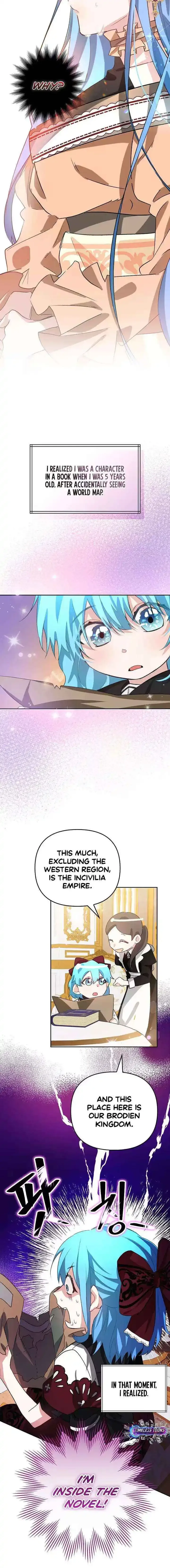 I Reincarnated as the Princess of a Country That Is Going to Be Destroyed by the Male Protagonist Chapter 1 page 9 - 