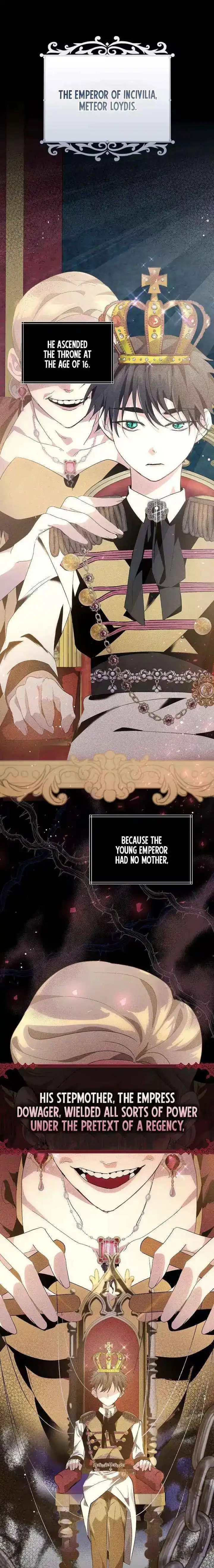 I Reincarnated as the Princess of a Country That Is Going to Be Destroyed by the Male Protagonist Chapter 2 page 2 - 