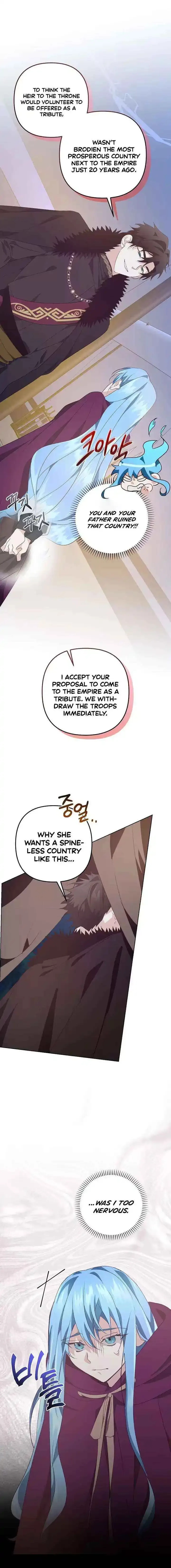 I Reincarnated as the Princess of a Country That Is Going to Be Destroyed by the Male Protagonist Chapter 2 page 14 - 