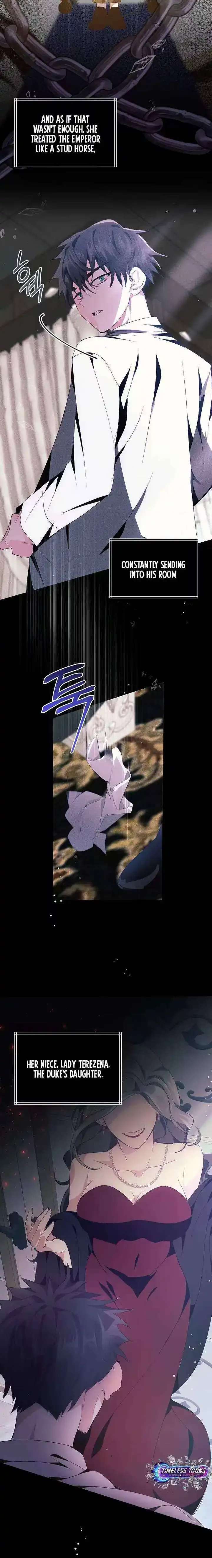 I Reincarnated as the Princess of a Country That Is Going to Be Destroyed by the Male Protagonist Chapter 2 page 3 - 