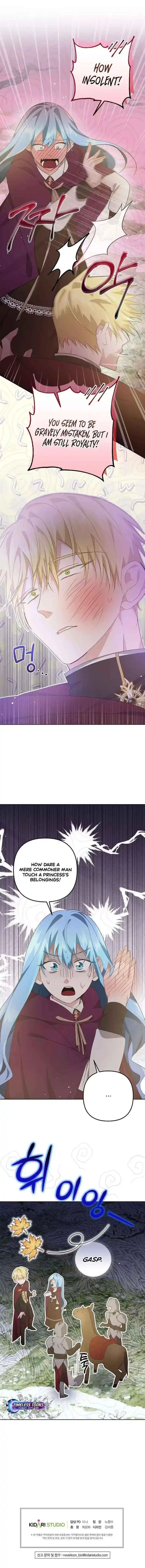 I Reincarnated as the Princess of a Country That Is Going to Be Destroyed by the Male Protagonist Chapter 2 page 24 - 