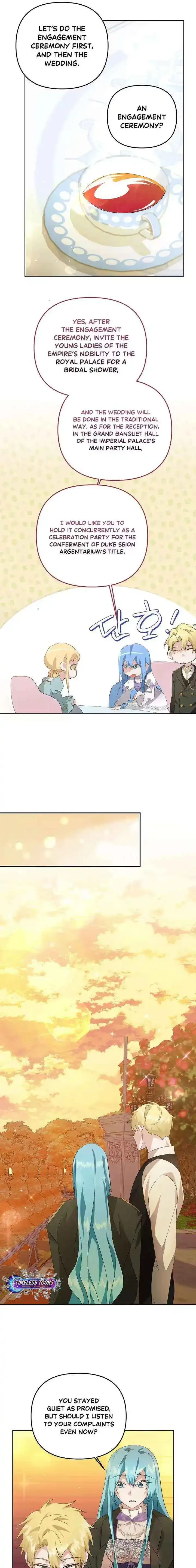 I Reincarnated as the Princess of a Country That Is Going to Be Destroyed by the Male Protagonist Chapter 5 page 17 - 