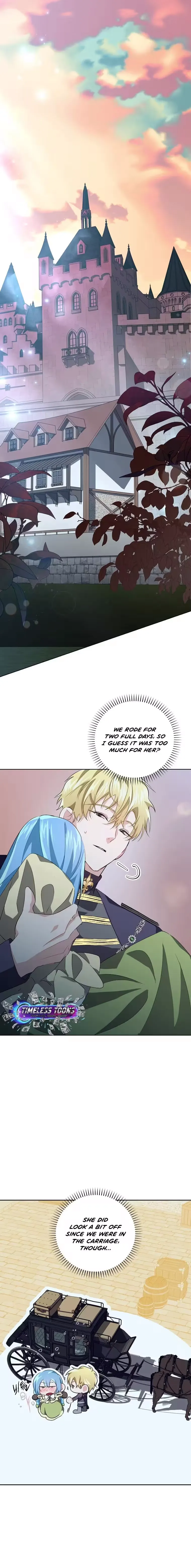 I Reincarnated as the Princess of a Country That Is Going to Be Destroyed by the Male Protagonist Chapter 9 page 2 - 