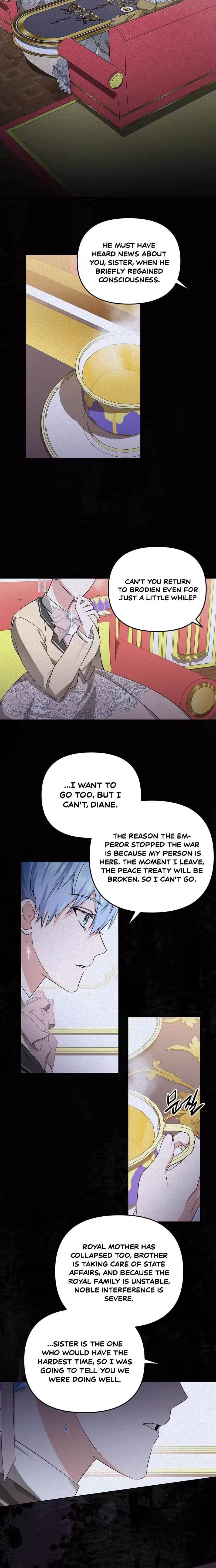 I Reincarnated as the Princess of a Country That Is Going to Destroyed by Male Protagonist Chapter 15 page 13 - 