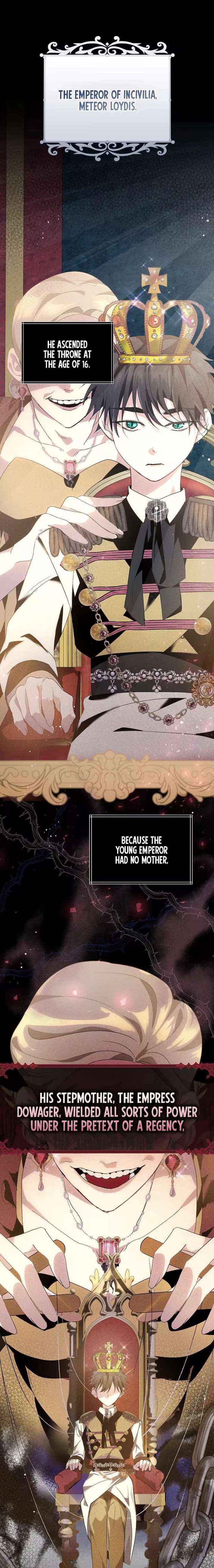 I Reincarnated as the Princess of a Country That Is Going to Destroyed by Male Protagonist Chapter 2 page 2 - 