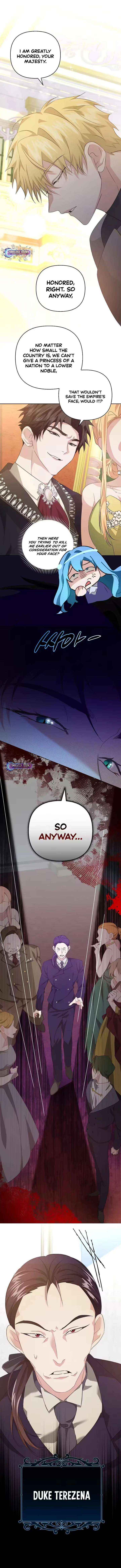 I Reincarnated as the Princess of a Country That Is Going to Destroyed by Male Protagonist Chapter 4 page 5 - 