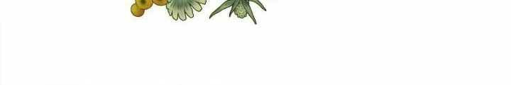 I Shall Kill That Sweet Devil Chapter 152 page 29 - 